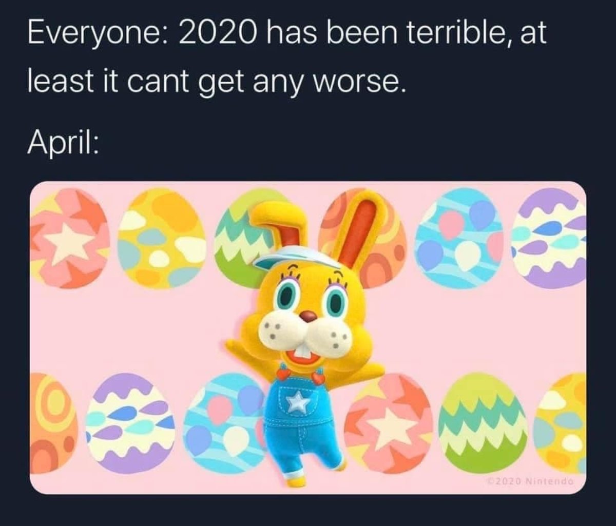 Rapid Reviews On New Horizons One Month of Animal Crossing!