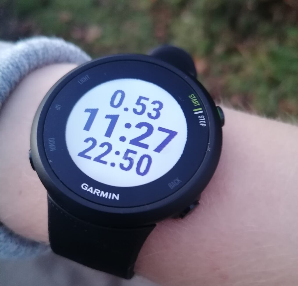 Garmin Forerunner 45 GPS