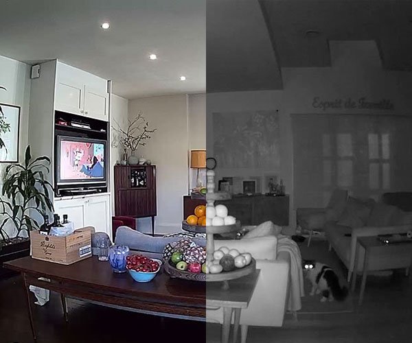 A greyscale nightvision view of a living room
