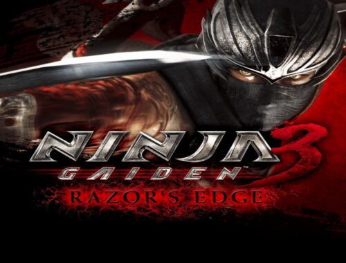 cover image Ninja Gaiden 3