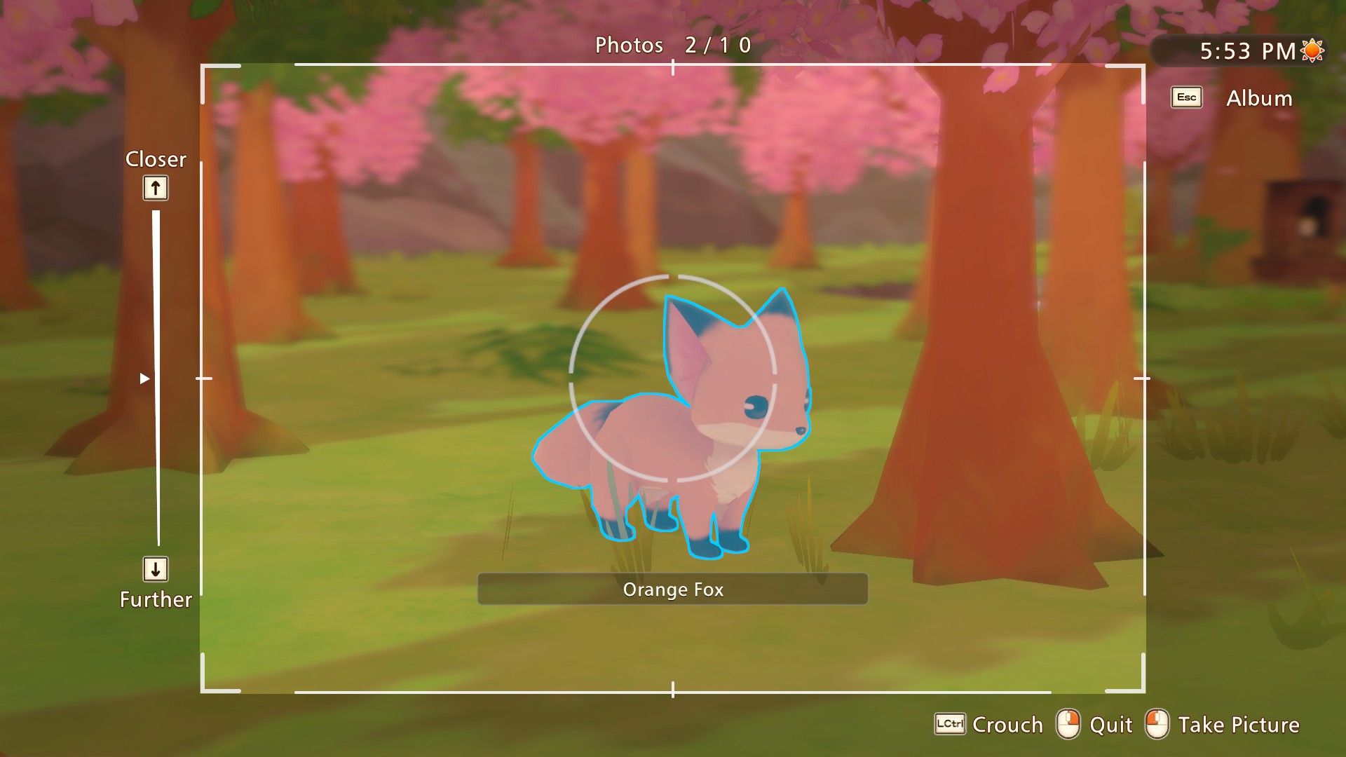 A camera lense focuses on an orange fox.