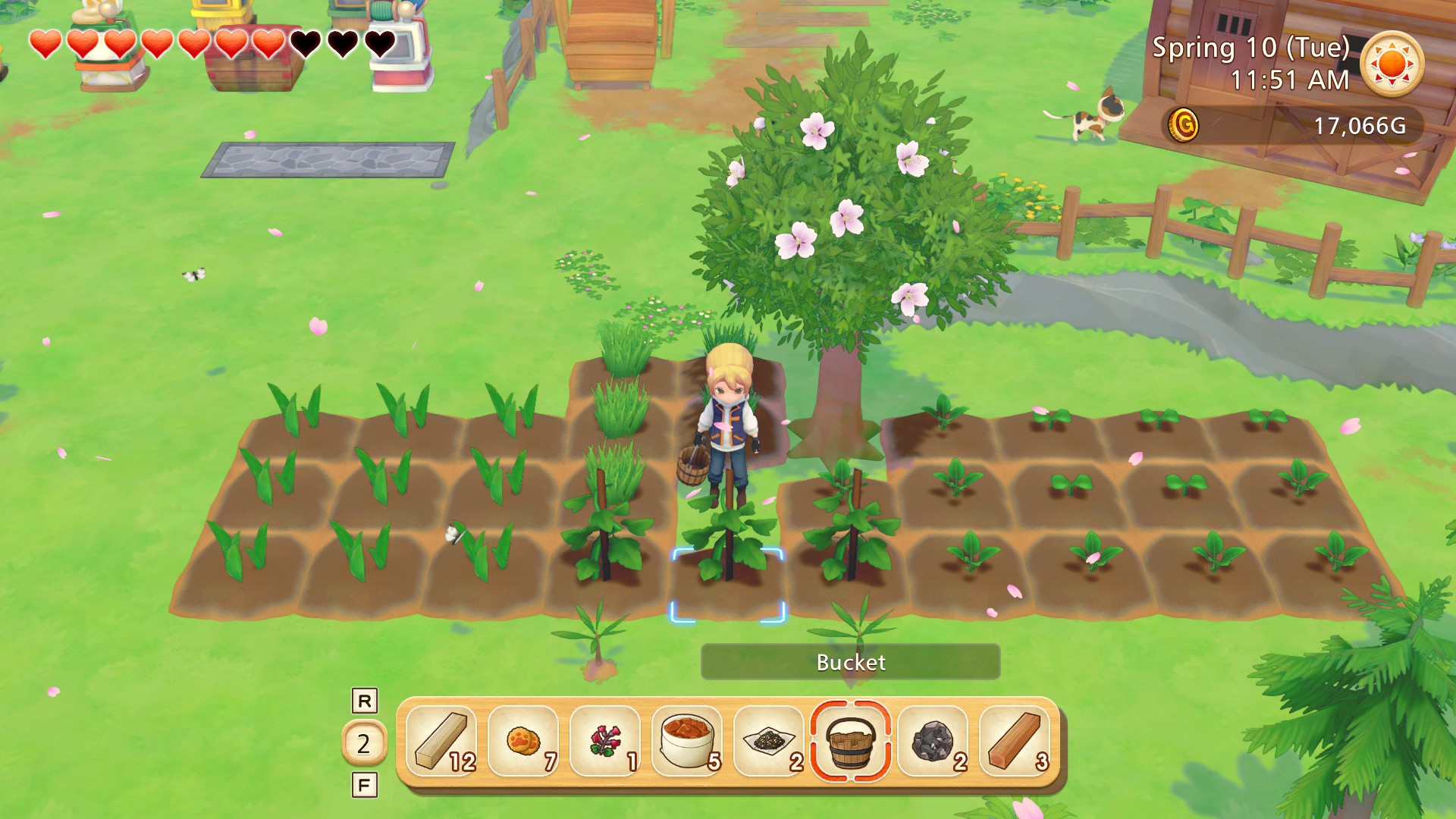 My protagonist stands among her crops which aren't fully grown yet.
