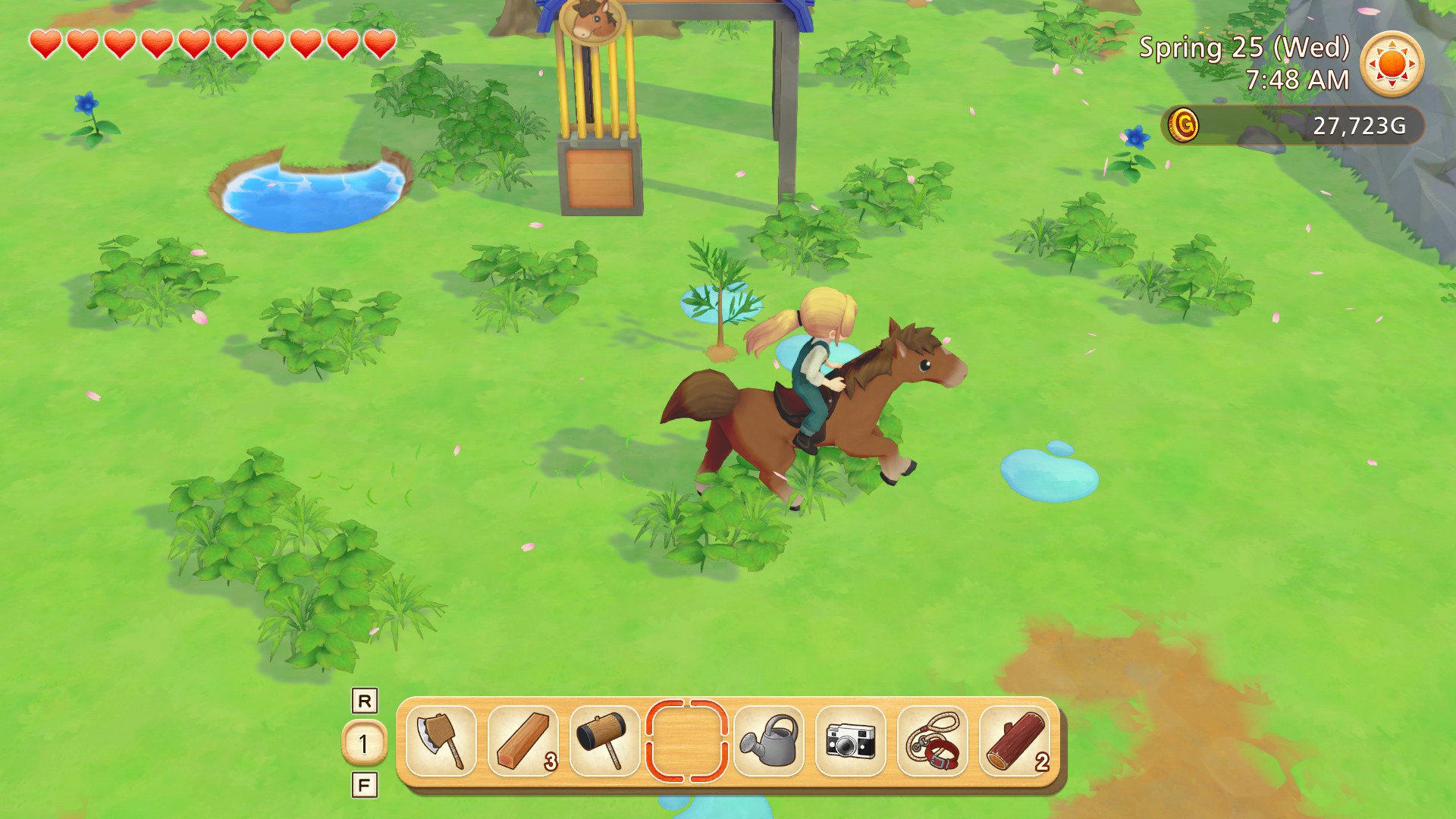 My protagonist rides a brown horse through a grassy field.