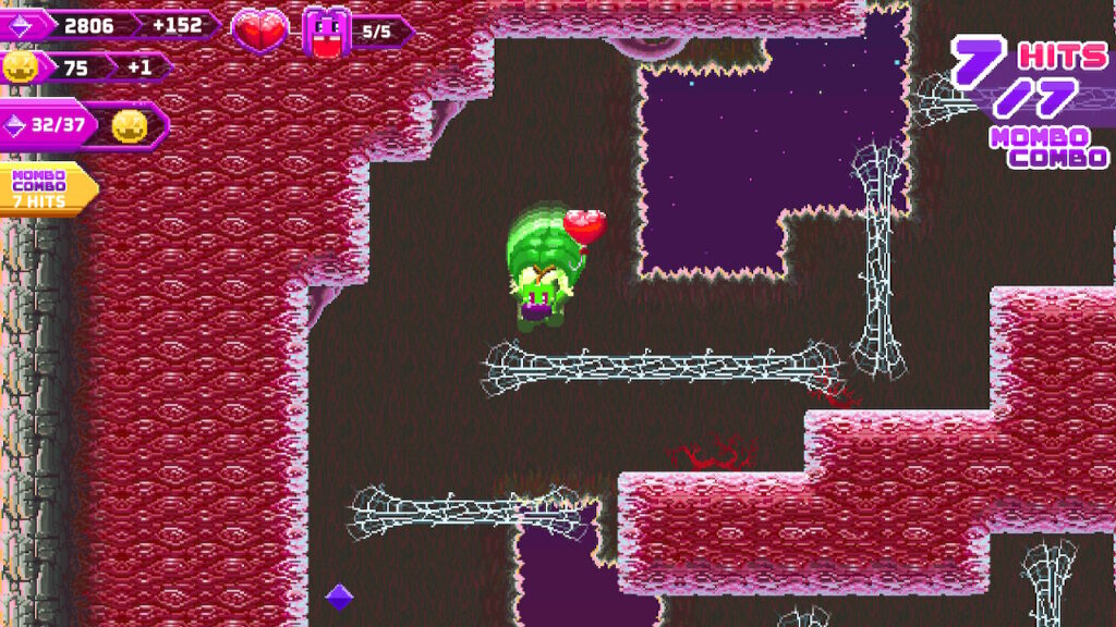 mombo gliding down a crevasse near spider webs