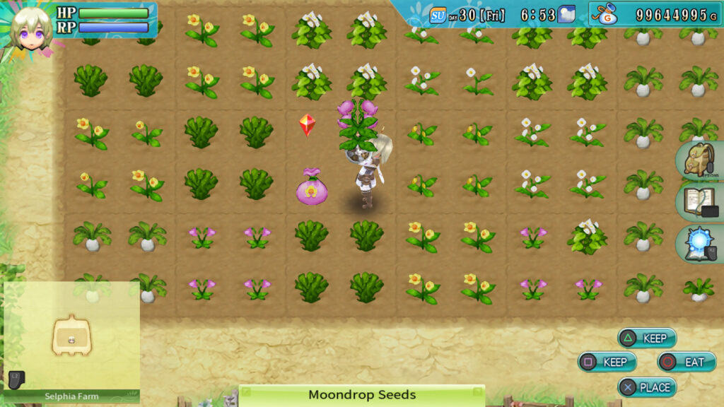 A farmer picks up a variety of vegetables