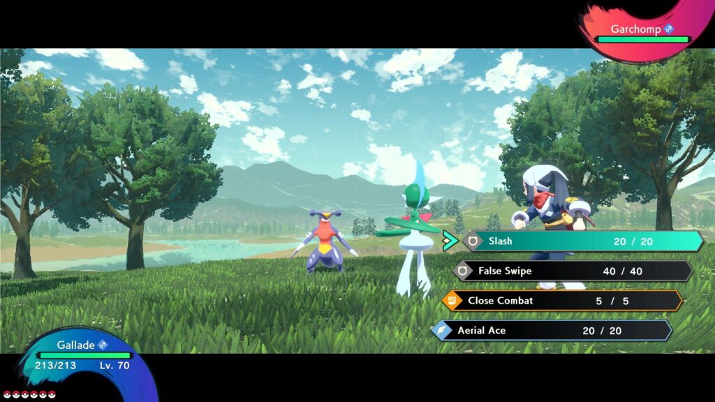 A battle between a Gallade and a wild Garchomp.