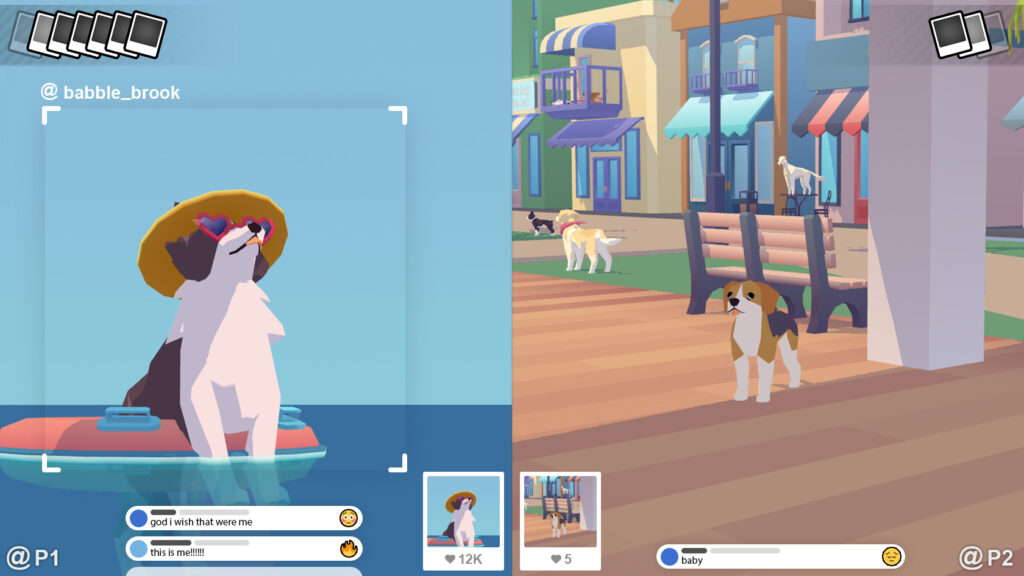 On the left is a camera close-up on a dog in the water on an inflatable, on the right are several dogs on a boardwalk