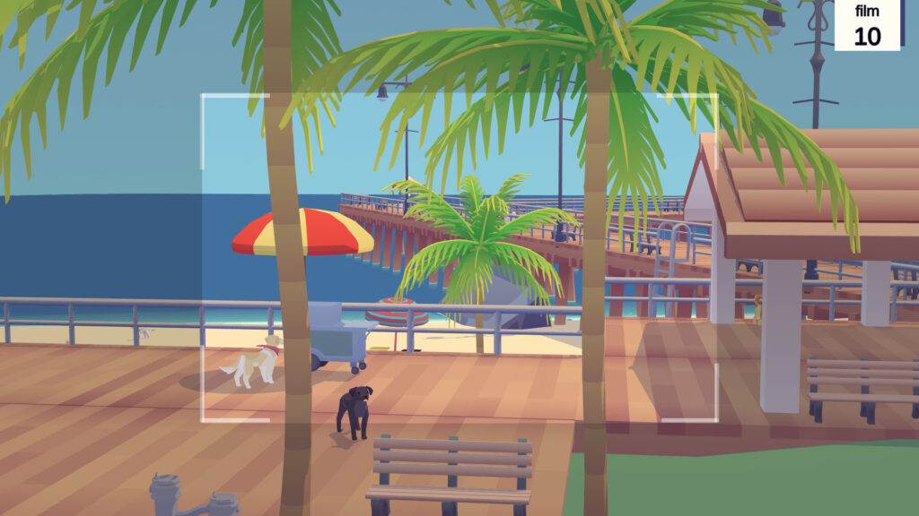A camera shot of two dogs on a beach boardwalk