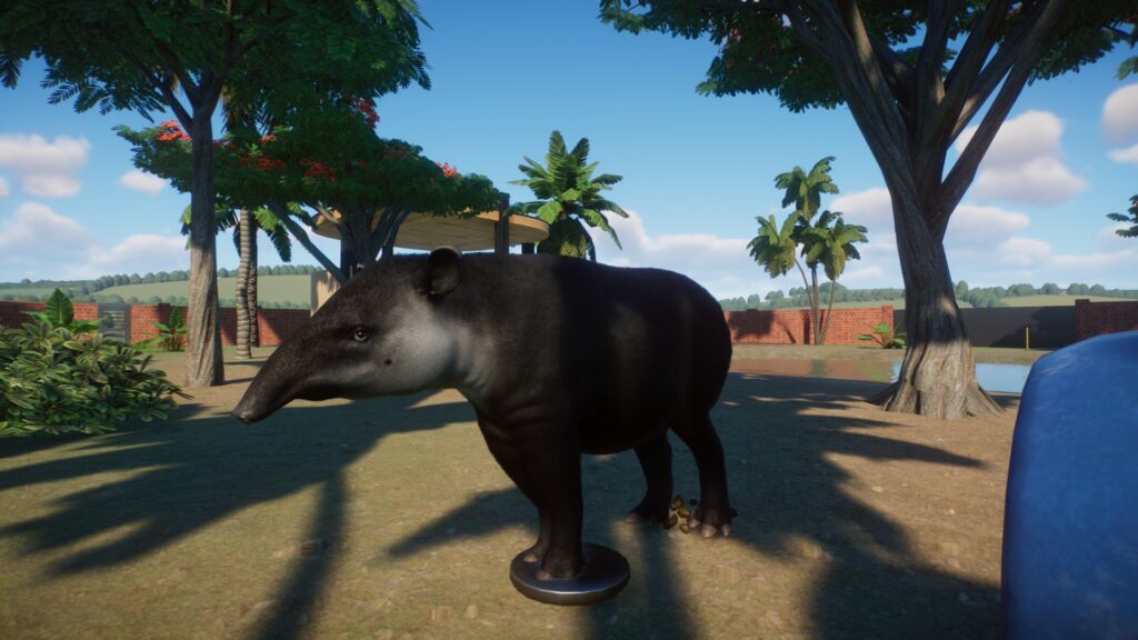 A tapir faces the left.