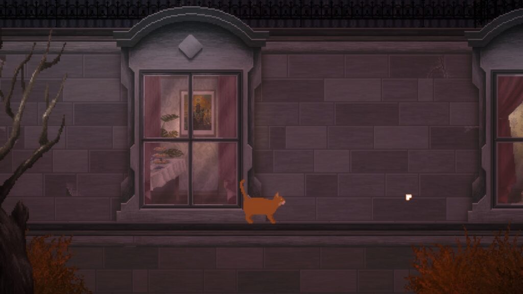 cat walking on roof ledge looking in on windows