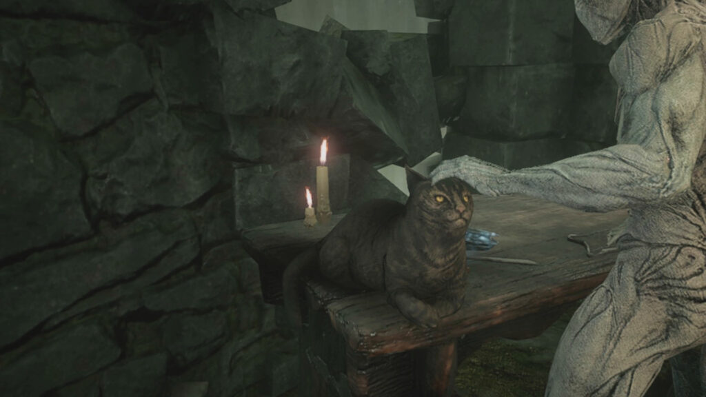 You can pet a cat!