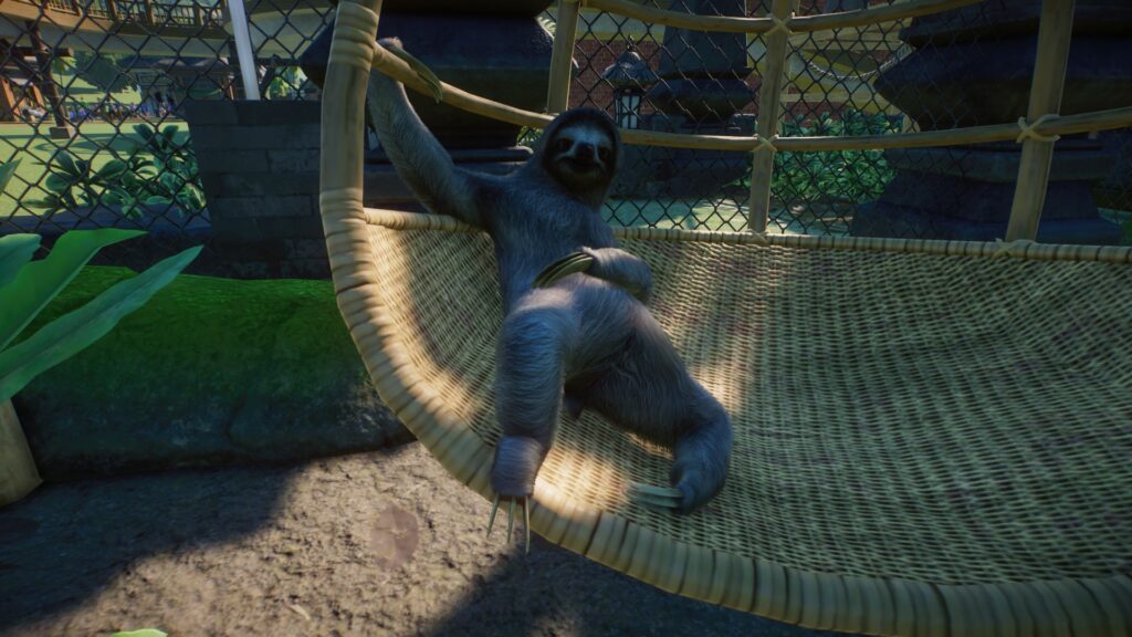 A sloth sits in a hanging chair, holding onto the back of it