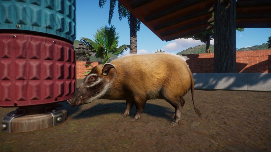 A red river hog plays with a scratching post.