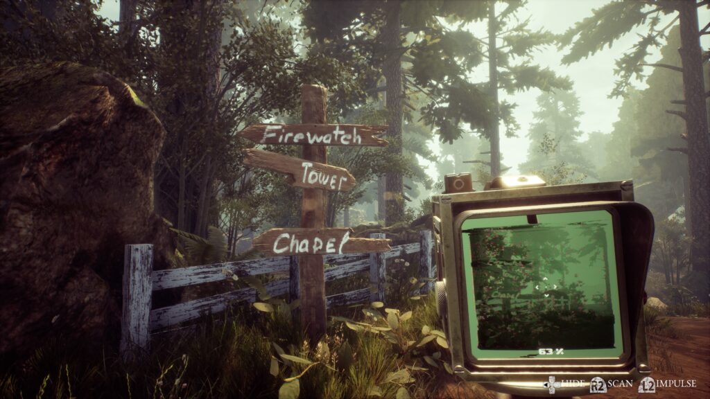 External woodland scene with a directional signpost and dense trees.
