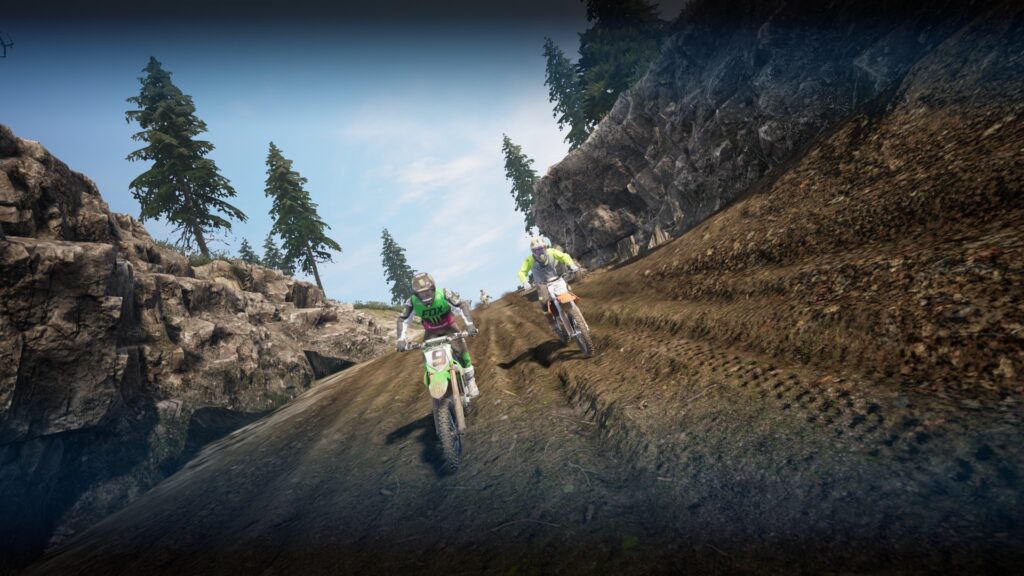 2 bikes racing downhill in a forest.