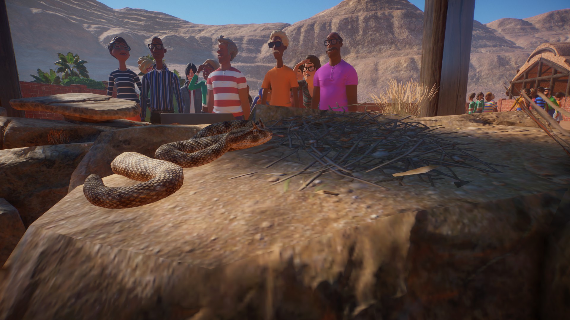 A desert horned viper, with guests watching through its glass exhibit.