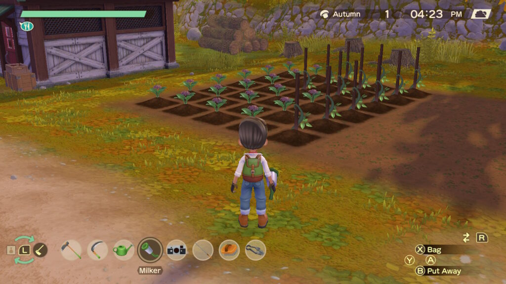 Field of crops growing in Story of Seasons: A Wonderful Life