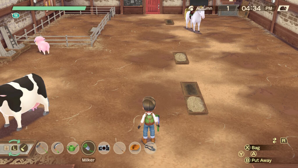 Building filled with a variety of animals in Story of Seasons: A Wonderful Life