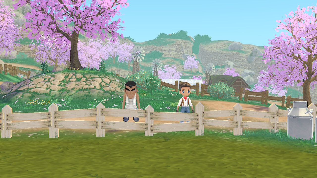 STORY OF SEASONS A Wonderful Life Review Rapid Reviews UK