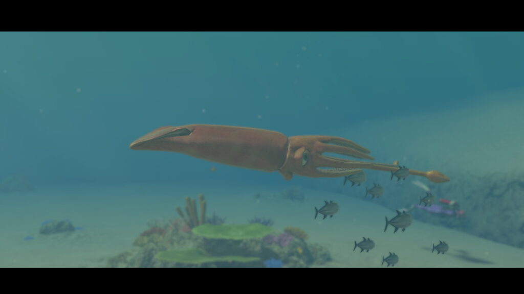 A giant squid swimming from right to left. A group of small fish are swimming away to the right. There are visible beds of coral and reeds below the squid.
