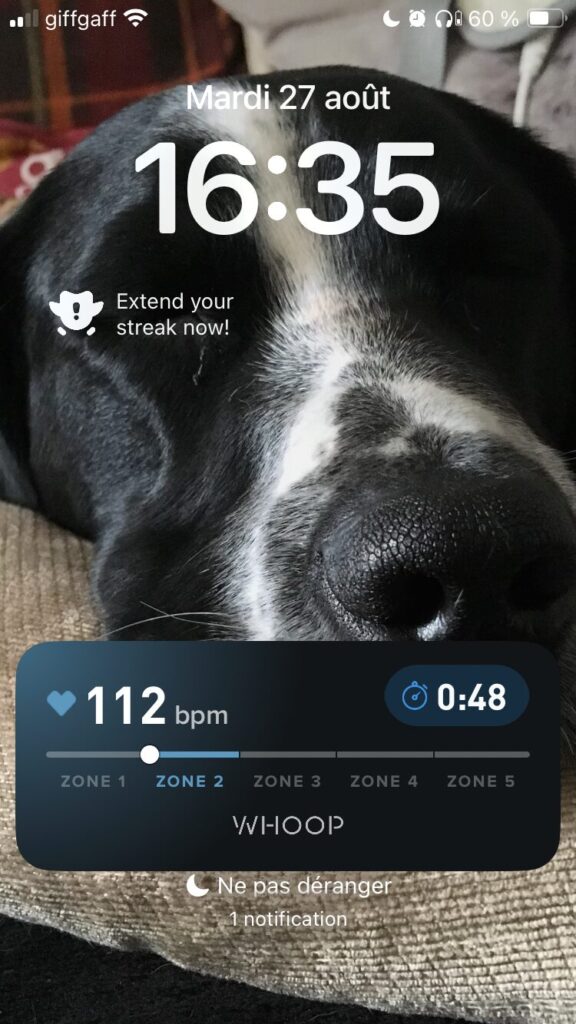 Heart rate training zones visible on the lock screen when tracking an activity in the Whoop app